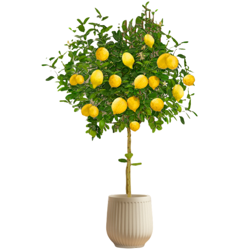 ˮڴֲ̨ļ1.4mԴͷֱ 159.89Ԫ()