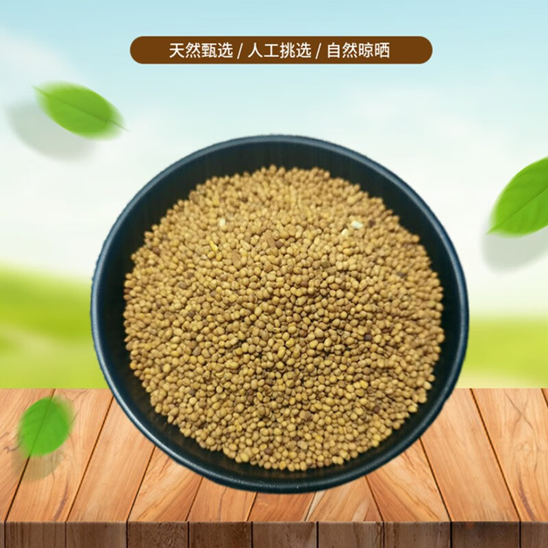 山间谷草芥末籽黄芥末籽粒500g 黄芥子 芥末子香料 芥菜籽芥茉子新鲜