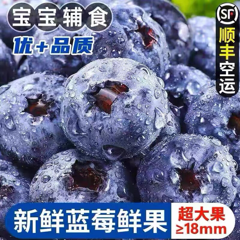 儲褚【順豐空運】云南藍莓鮮果小懶杯盒精選大果新鮮時(shí)令水果禮盒 2盒裝大果(單果15mm+)