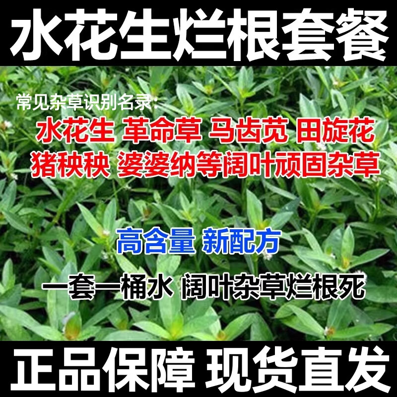 水花生除草烂根剂高含量除草套餐革命草空心莲子草死根烂根农用 【水花生除草套餐】1套