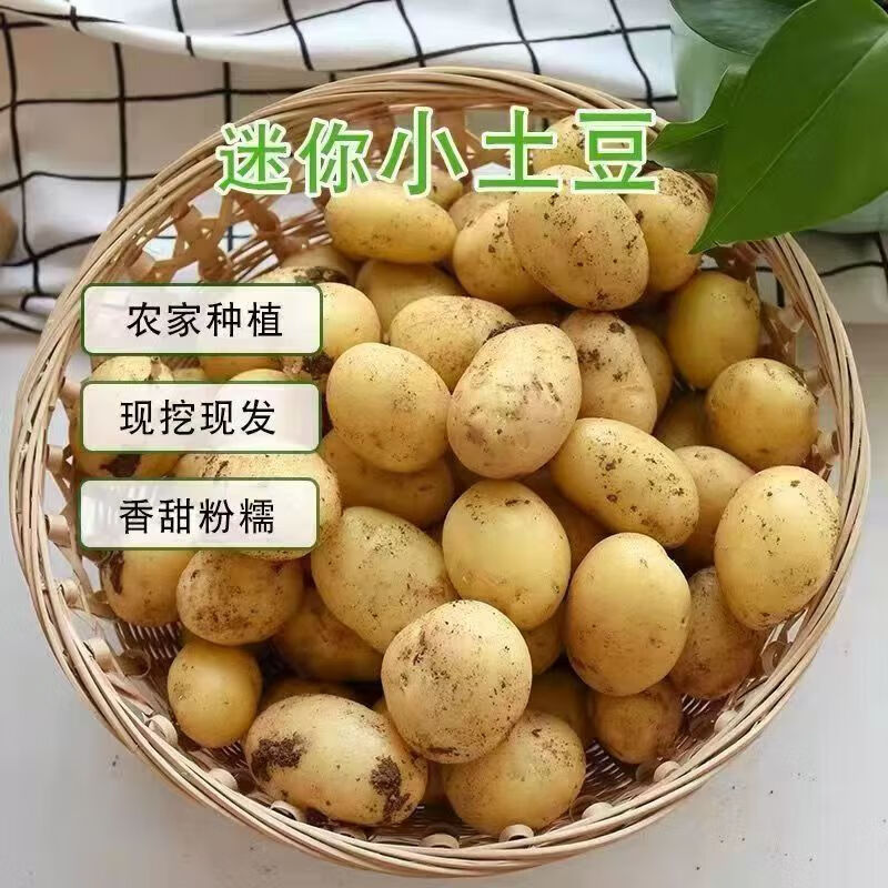 https://img14.360buyimg.com/pop/jfs/t1/315528/25/814/112867/68246be5F8d1f63a0/6c2a0ca695cdc52a.jpg