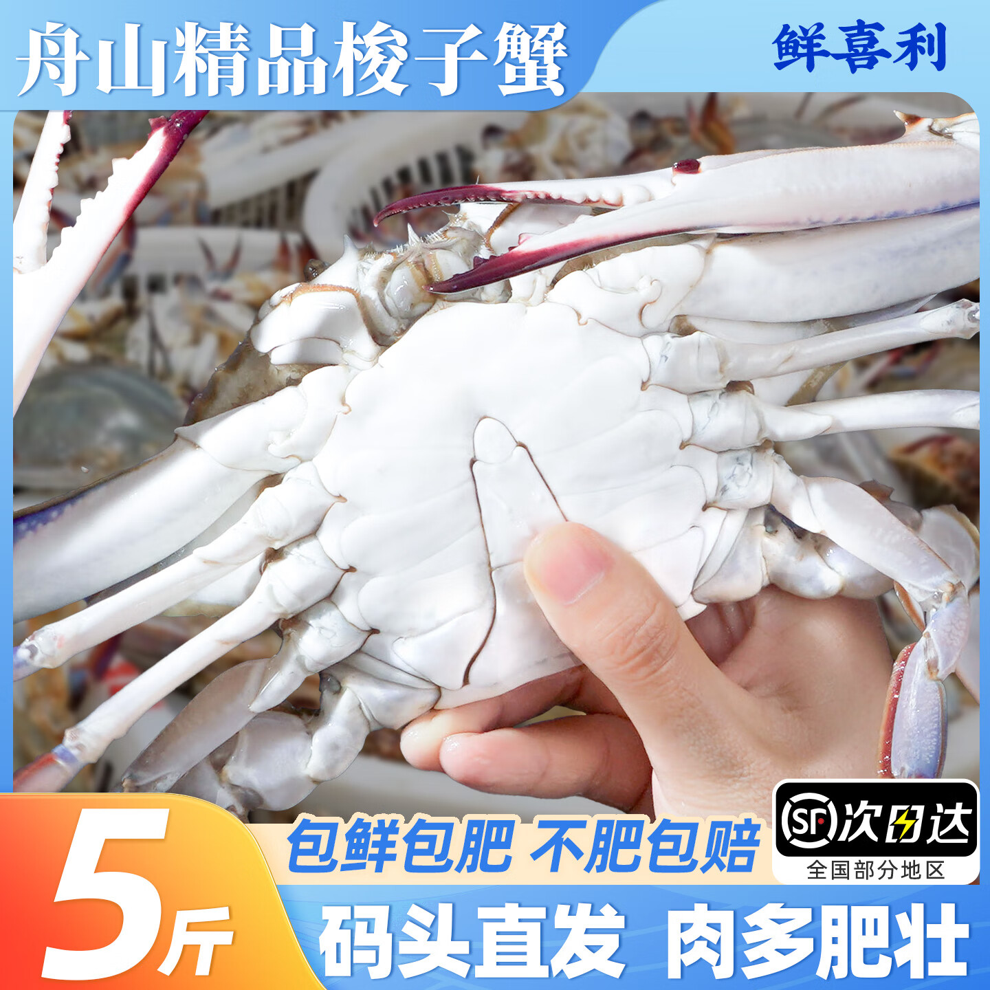 梭子蟹鲜活特大野生舟山大螃蟹海鲜新鲜冷冻海蟹水产飞蟹白蟹顺丰 3-5两/只 【净重3斤舟山梭子蟹】