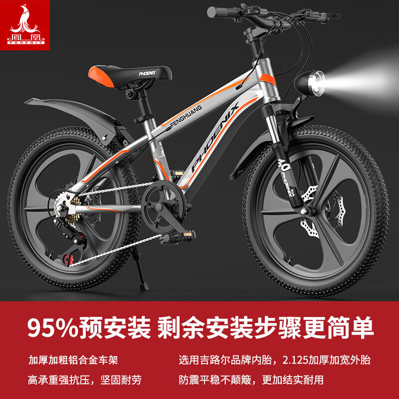 ��ˣ�Phoenix�����Ͻ��ͯ���г�6-15��Сѧ���д�ͯ������˹��һ��������ɫ18�� 444Ԫ