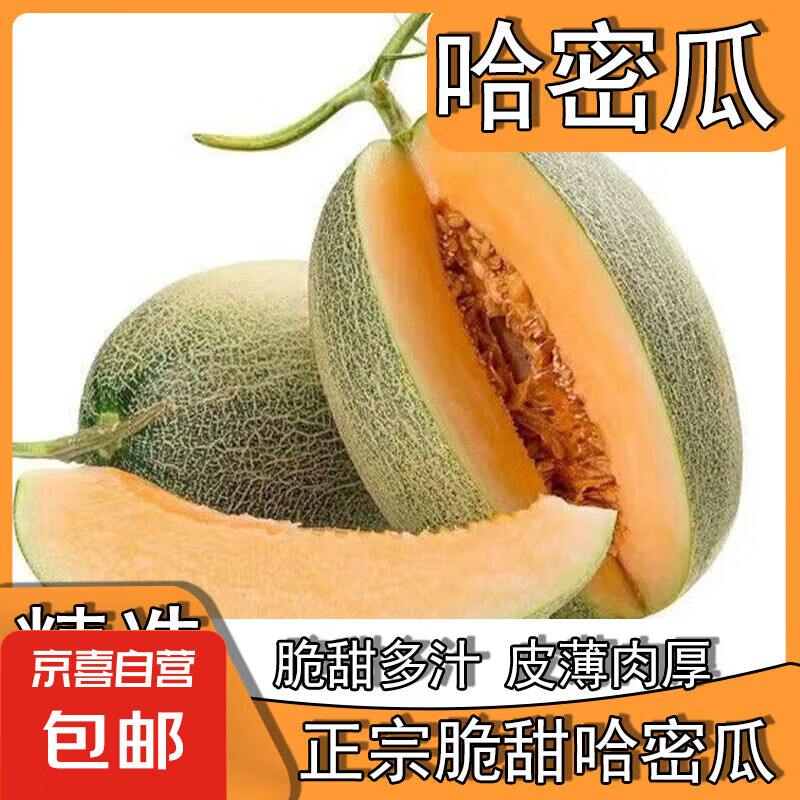 正宗海南哈密瓜新鲜水果疆西州蜜瓜25号老汉瓜网纹甜瓜哈密瓜脆甜 单果一个 (1.8-2.5斤)