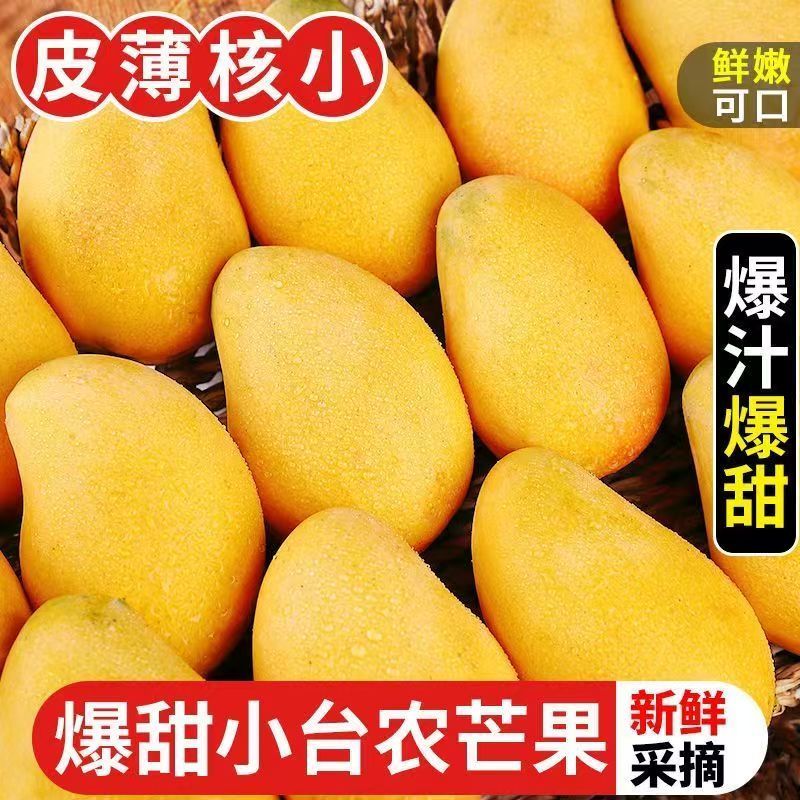 正宗云南小台芒5斤装精选特大果