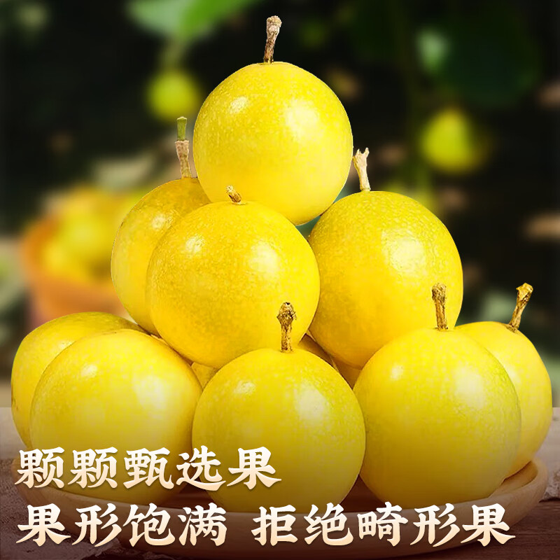 寻天果蔬正宗钦蜜9号黄金百香果 新鲜水果白香果纯甜 如蜜 源头直发 净重5斤【单果90g+】超大果