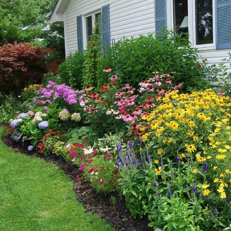 四季青绿化工程高羊茅耐寒旱耐践踏护坡野花组合种子 野花组合(草坪