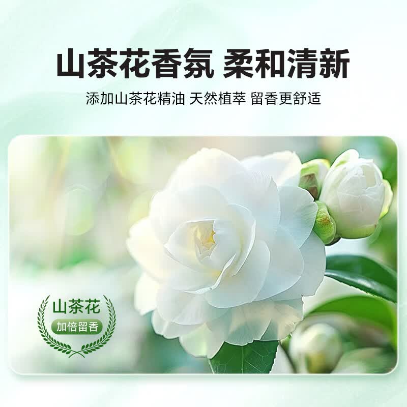 活力28亲肤内衣洗衣液瓶装香氛去渍洗内裤液洗衣液 山茶花内衣洗500g*2瓶