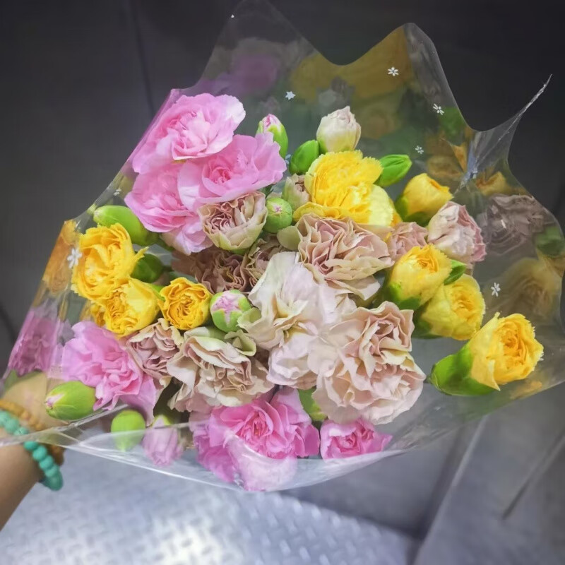 多头康乃馨鲜花云南昆明直发基地520送女友插瓶水养长花期好养 随机多色多头康乃馨18枝+2枝防损 AB级出口品质 枝长60cm以上