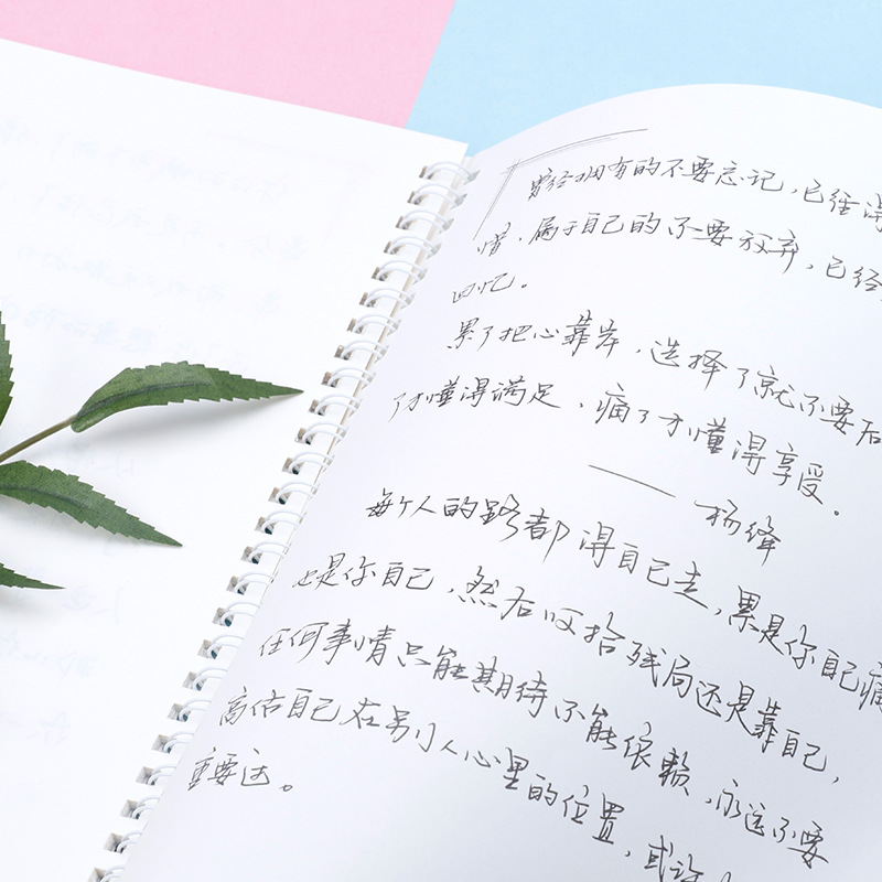 手写体成年男生女生优美文字练习本文艺练字帖大学生高中生硬笔行楷