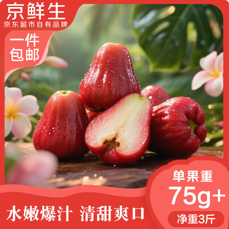 京鲜生 红宝石莲雾 净重3斤装12-15个单果75g+生鲜水果源头直发包邮
