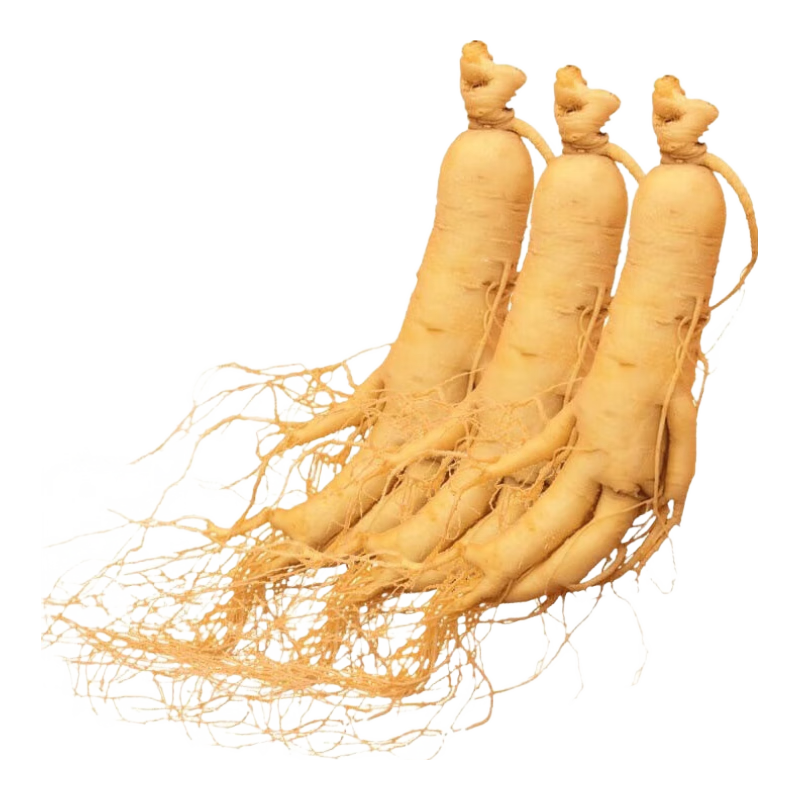 长白山人参精选鲜人参 健康煲汤泡酒材料 富含人参皂苷 保鲜人参节日礼品 保鲜参 15g*10支(净参6-8克/支)