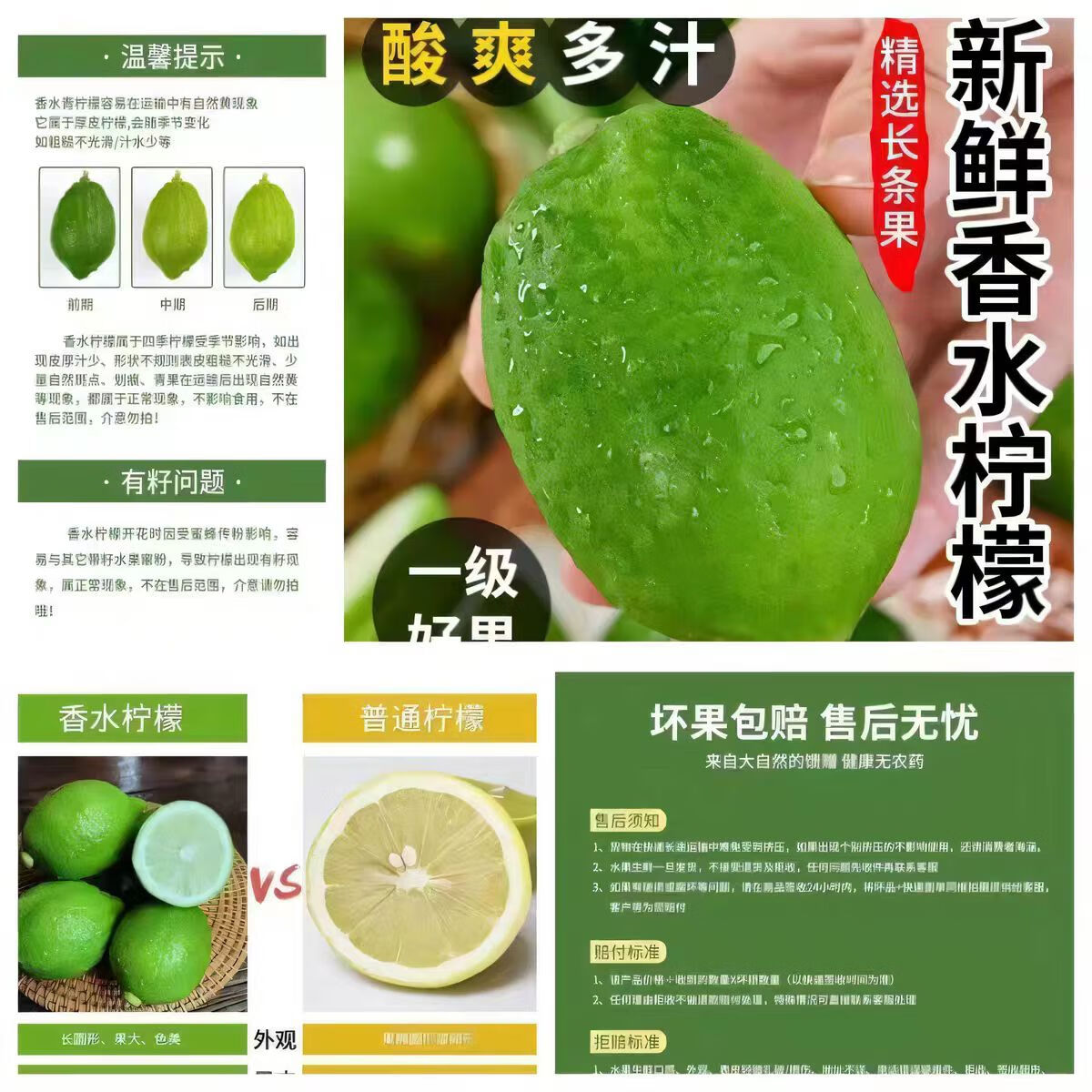 手打柠檬茶专用广东茂名无籽香水柠檬新鲜现摘奶茶店同款坏果包赔 二级果50-250g 果皮微黄性价比高 5斤(对大小有要求请备注)