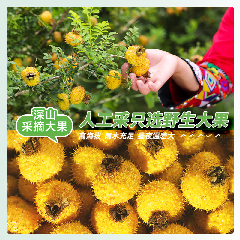 黔雅集有机刺梨原液 纯刺梨原汁原浆贵州特产鲜榨果汁 高VC SOD礼盒装 有机刺梨原液1箱（6盒）