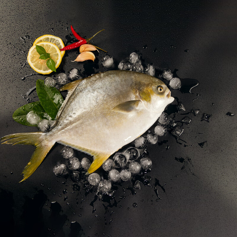钦小鲜北部湾深海金鲳鱼检测认证肉多刺少海鲜生鲜深海鱼火锅食材端午聚 金鲳鱼 【2条*700-800克净重】