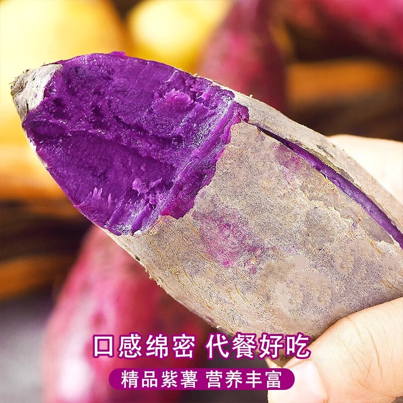 鲁禧海岸紫薯 当季蔬菜 红薯 代餐减脂粗粮 紫罗兰紫薯 沙地粉紫薯 严选中果净重4.5斤-单果3-8两