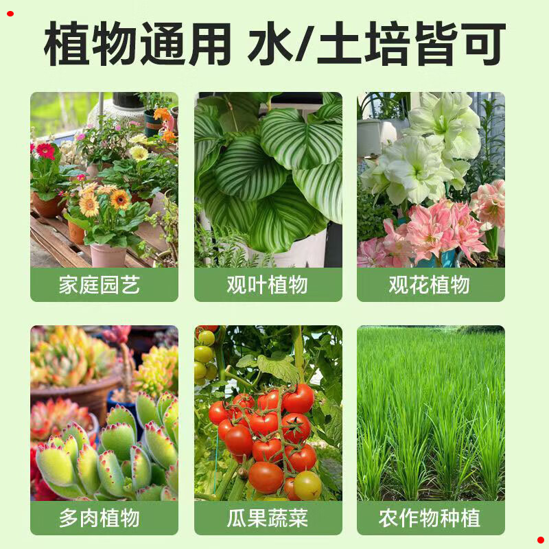 智绿快速生根粉植物通用营养液扦插移栽强力生根剂养花卉肥料 快速生根粉5斤桶装【加强型】