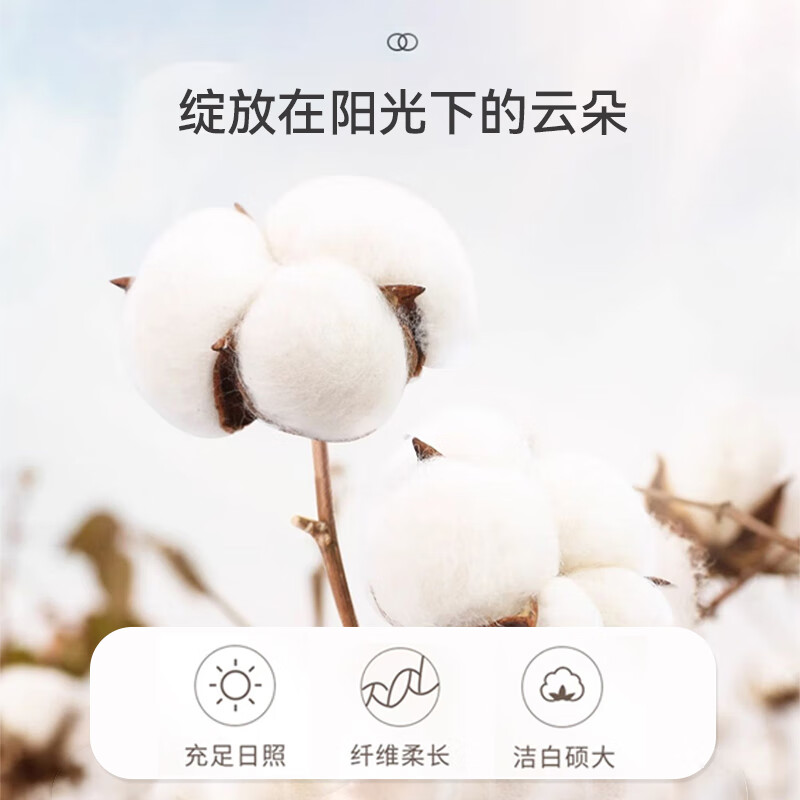 多样屋(TAYOHYA)3A抗菌毛巾纯棉洗脸巾不易掉毛全棉A类加厚洗澡巾100%棉吸水 加厚丨3A抗菌【蓝咖粉】 3条