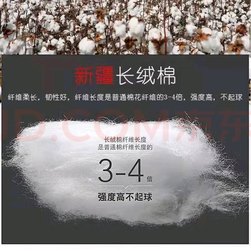 伊玳辉袜子男女春秋季运动袜子超薄透气中筒袜薄款长筒篮球袜 自由搭配留言备注 袋装 3双 均码 短筒 35-44 伊玳辉袜子男女春秋季运动袜子超薄透气中筒袜薄款长筒篮球袜 自由搭配留言备注 袋装 3双 均码 短筒 35-44