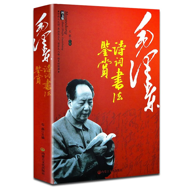 毛泽东诗词全集鉴赏 书法鉴赏带手迹和照片老师版 毛泽东诗词书法鉴赏图文版