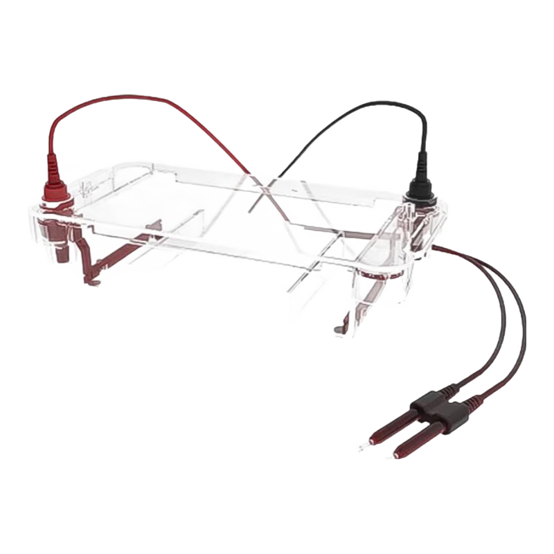 葉拓DYCP-31DN瓊脂糖水平電泳儀槽DYY-6C/6D可搭配電源蛋白電泳儀電源 DYCP-31DN電泳儀