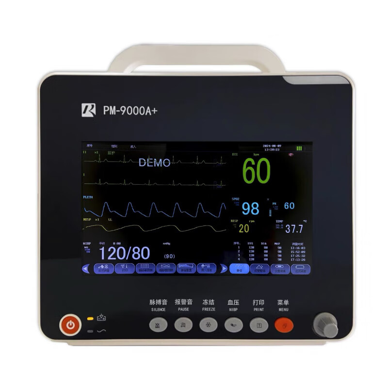 瑞博10.1寸屏多参数心电监护仪自带配件箱医用家用便携式自动检测 标配(内置锂电池)