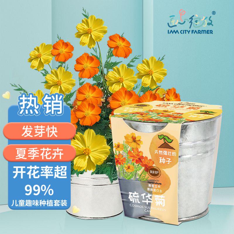 怎么看绿植盆栽商品的历史价格|绿植盆栽价格走势图
