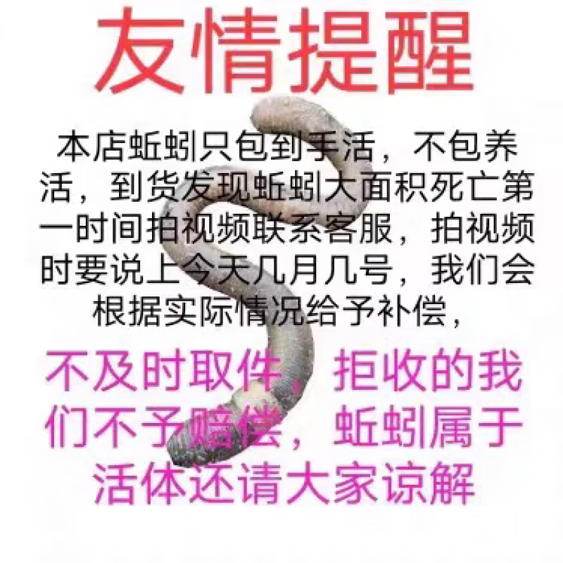青蚯蚓鲜活鱼饵钓黄鳝青蚯蚓钓黄鳝诱饵活饵蚯蚓 中号1斤(顺丰快递)