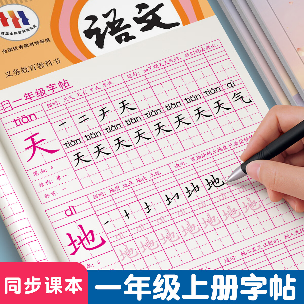 金枝叶一年级上册字帖2025新版语文同步练字帖小学生练字专用每日一练笔画笔顺描红练字本儿童生字写字帖