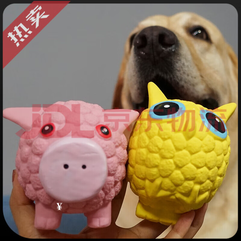 ��ͼ��ٷ��콢��Ʒ���������ҧ�д���Ȯ��Ȯ������ݻ�������ĥ������ ������-С��