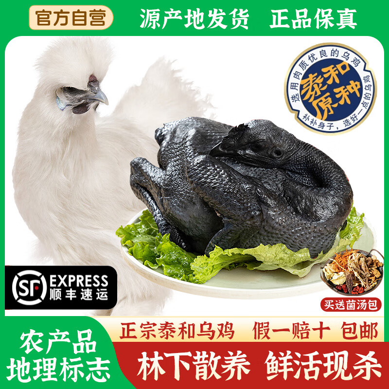 泰和烏雞原種土雞農家散養新鮮現殺老母雞公雞活雞整只正宗烏骨雞 武山林下散養180天泰和烏雞(限時(shí)