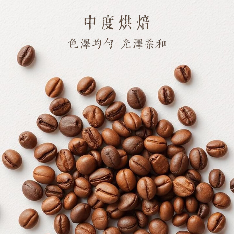 ANDEMISKI安德米奇咖啡中度烘焙100%阿拉比卡250g甘苦平衡冲饮秘鲁原装进口 单包250g