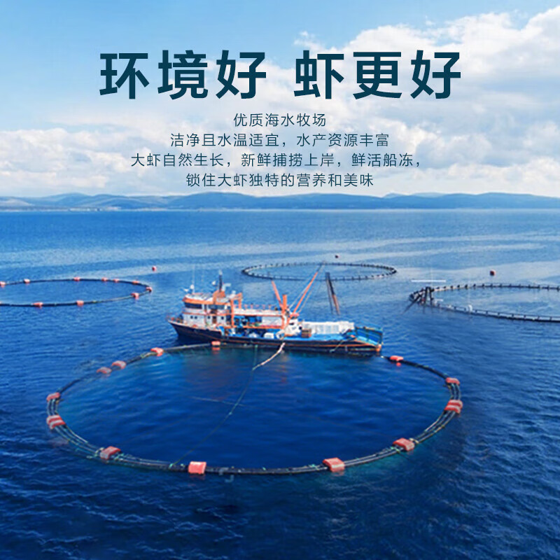 龙味福 虾南美厄瓜多尔白虾特大虾青虾海捕基围对虾冰虾冻虾海鲜水产 【大号无冰】15-18cm 3斤(净重)  【无冰】单只冻