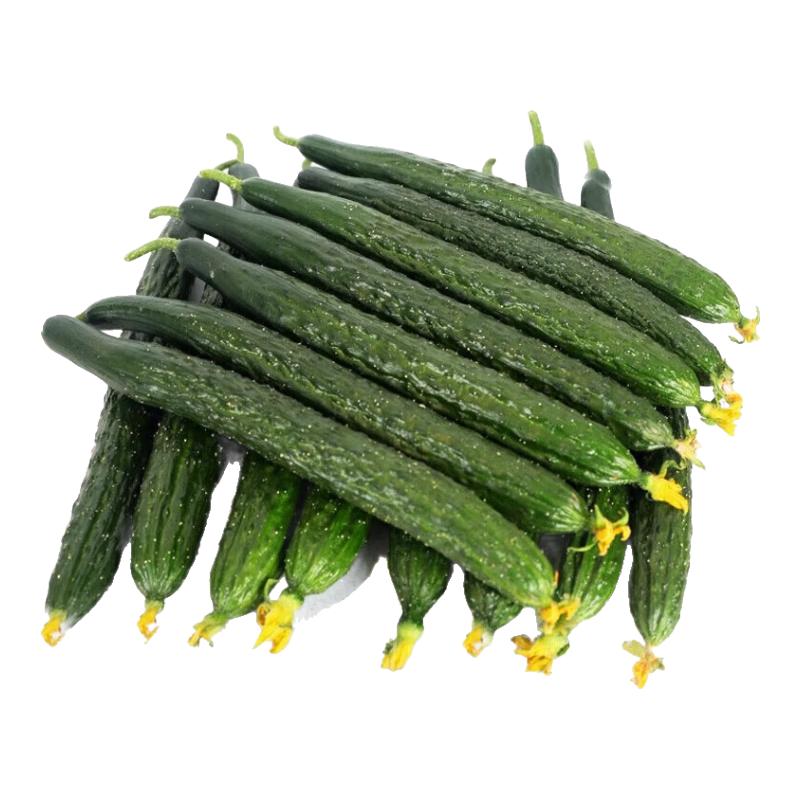 ʻƹ ժַ ߲ Գ 3 װ 9.99Ԫ(ȯ)