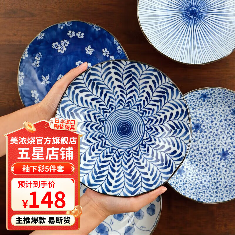 美浓烧 日本原装进口餐具 日式盘子家用创意菜盘水果盘 8英寸餐盘套装 蓝绘盘5件套 8英寸