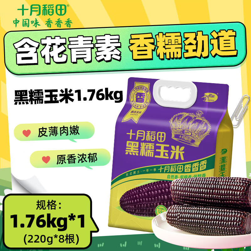 十月稻田 【2025年新玉米】黑糯玉米1.76kg（220g*8根）东北玉米 含花青素