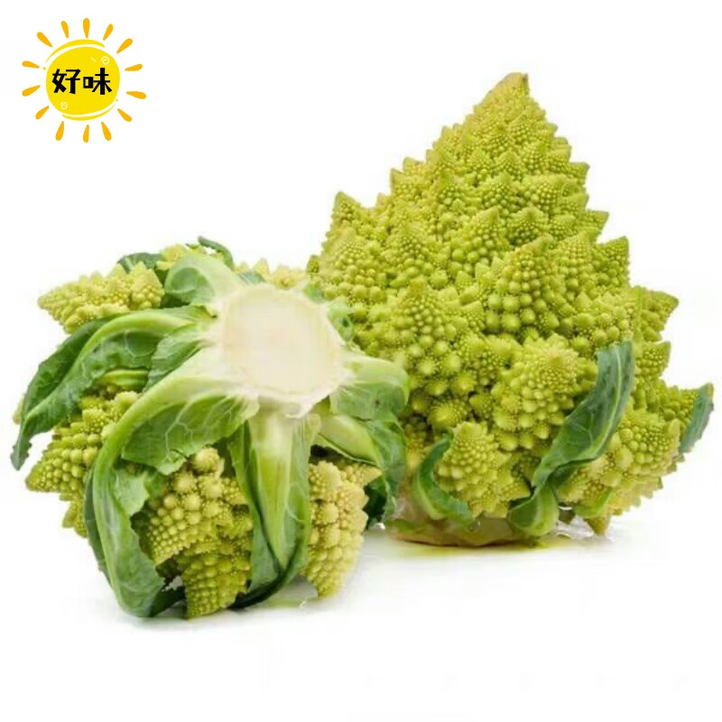【順豐】寶塔菜新鮮花椰菜菜花農(nóng)家自種蔬菜青菜餐廳用 1000g