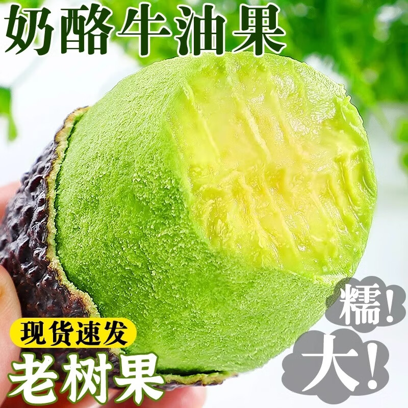 鲁禧海岸哈斯牛油果 新鲜水果 孕婴宝宝健康辅食 健身达人水果 鳄梨 4枚装 精品中果100g-130g【性价比高】