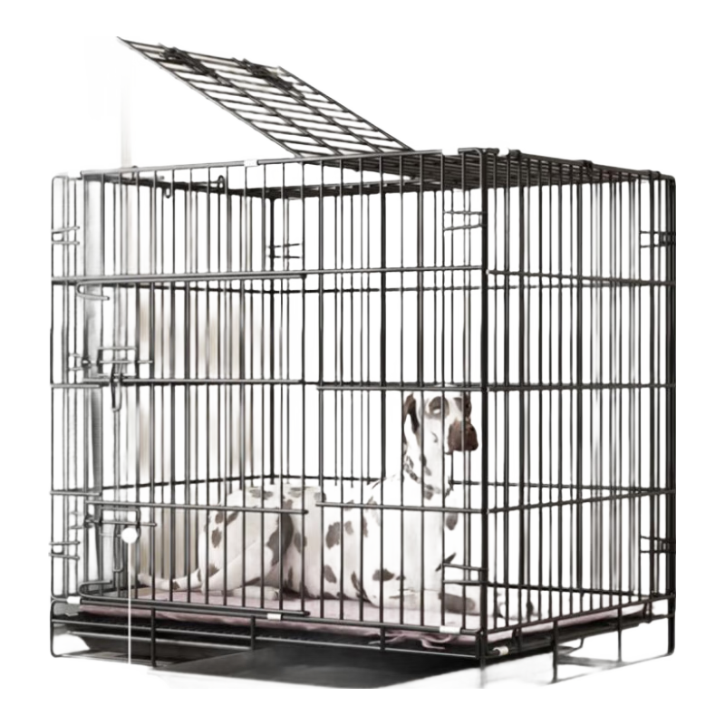 ���ڲ�������蹷��è�� ��������С��Ȯ��������Ȯ����è���Ӵ�ż���Χ������ 270.2Ԫ��4��(��67.55Ԫ/��)