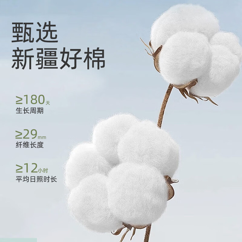 浪莎袜子男100%纯棉春夏季男士抗起球抗菌透气防臭中筒袜吸汗全棉男袜 6双礼盒装（纯棉抗菌防臭袜） 均码 （39-44码）