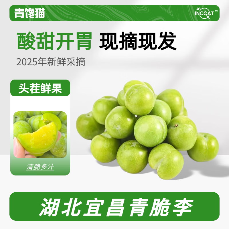 青馋猫湖北宜昌正宗青脆李新鲜李子现采时令水果清香解腻 净重4.6-5斤【15g+】