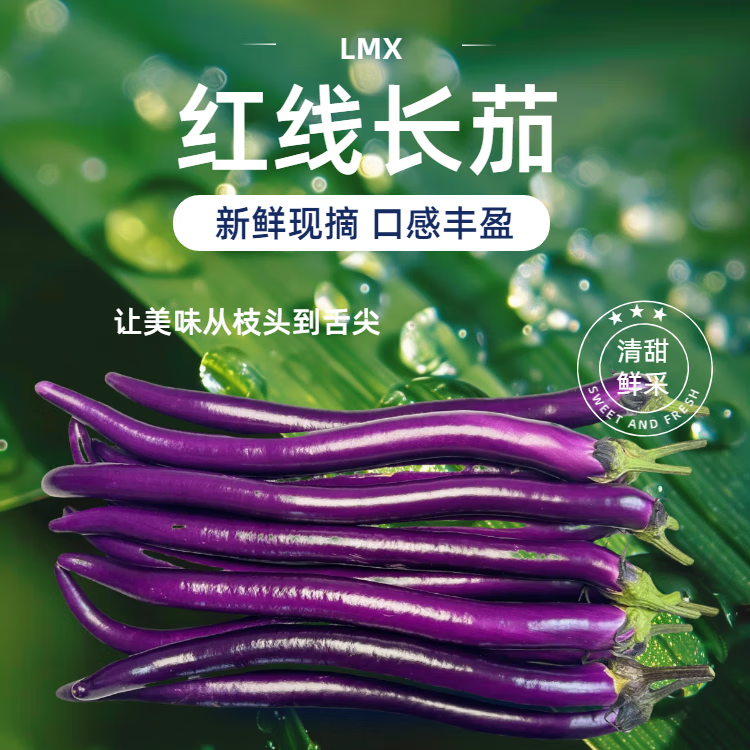 领麦鲜红线长茄现摘新鲜茄子杭茄生鲜蔬菜山东线茄产地直发 福利 5斤 净重