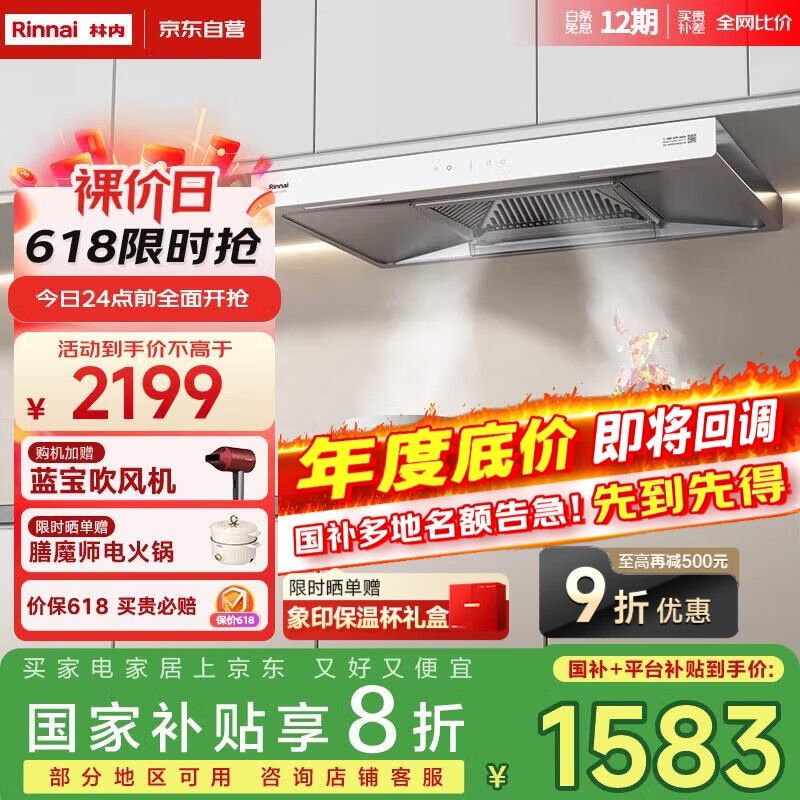 林内（Rinnai）【小蛮腰】抽油烟机【家电国家补贴20%】欧式顶吸排油烟 白色22m³大吸力小户型一级能效 NR12EA(W)