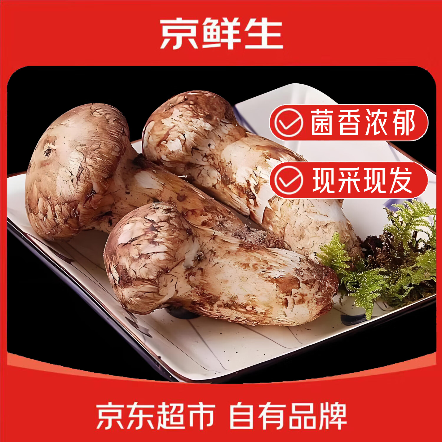 京鲜生云南香格里拉鲜松茸7-9cm净重250g出口级未开伞精品源头直发包邮