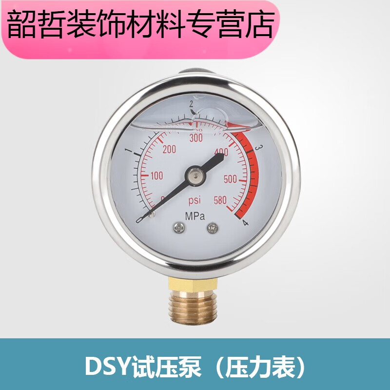 椁俊3dsy电动试压泵配件压力表铜头泵体吸水管垫圈垫片止回阀出水柱塞