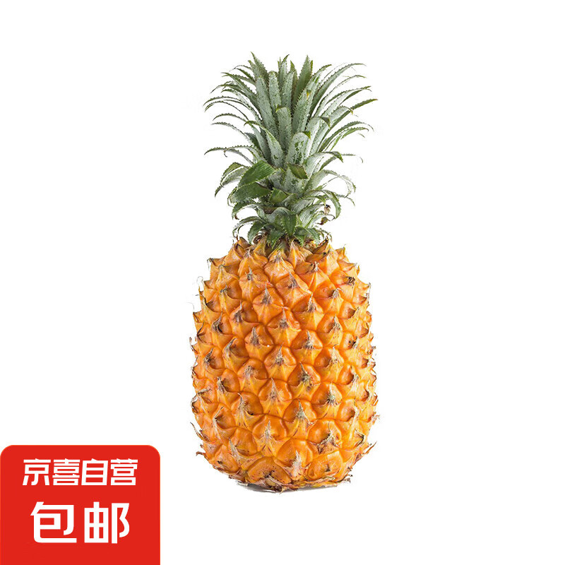 广东湛江徐闻菠萝 香水菠萝 热带水果  1个 带箱2斤 （净重1.3-2斤）