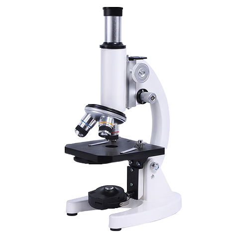 ڲţTieniuѧ΢רҵпѧרý̲ͬСѧϸϸ澫΢ͯѧʵ