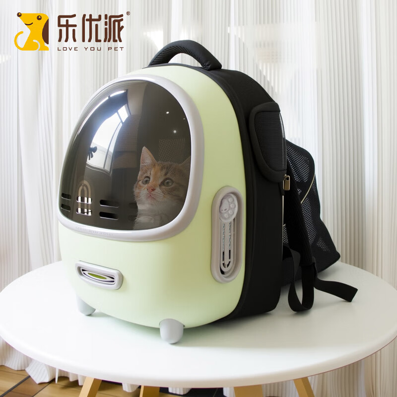 ������è�������Я��˫��è���������������͸������չ ��ɫ