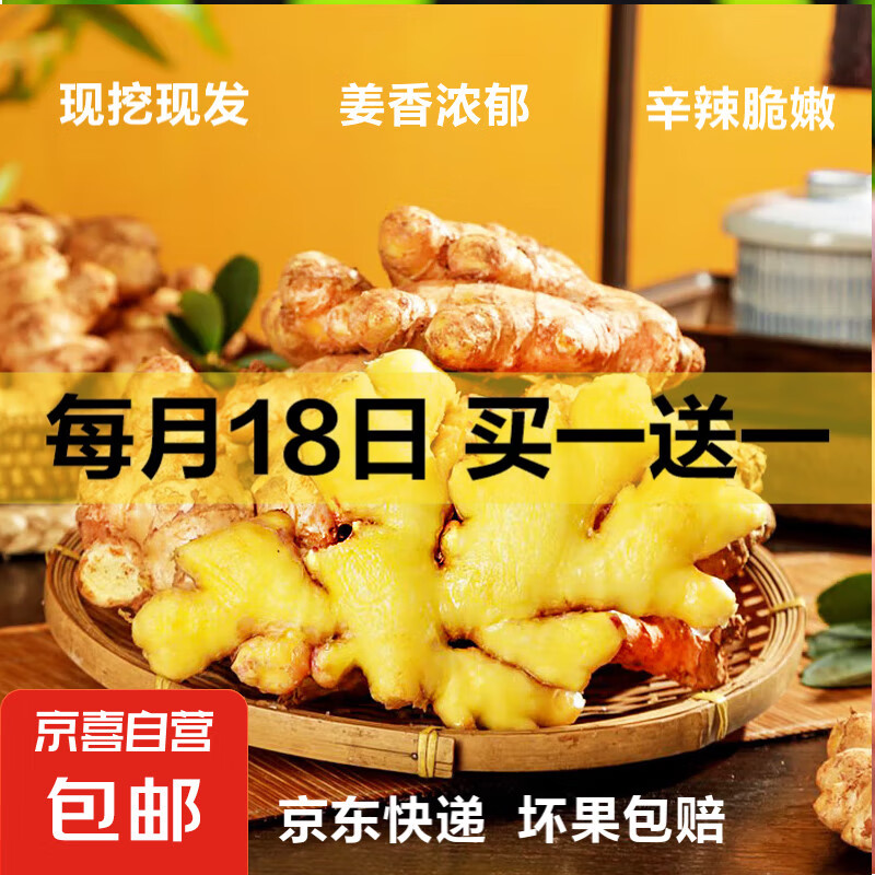 云南小黄姜新鲜生姜子自营生鲜姜月子姜超市蔬菜调料姜 净重 500g