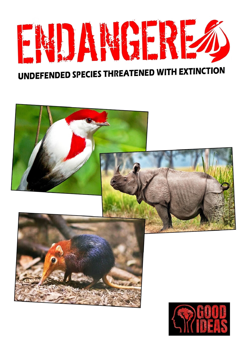 【预售按需印刷】endangered - undefended species threatened with